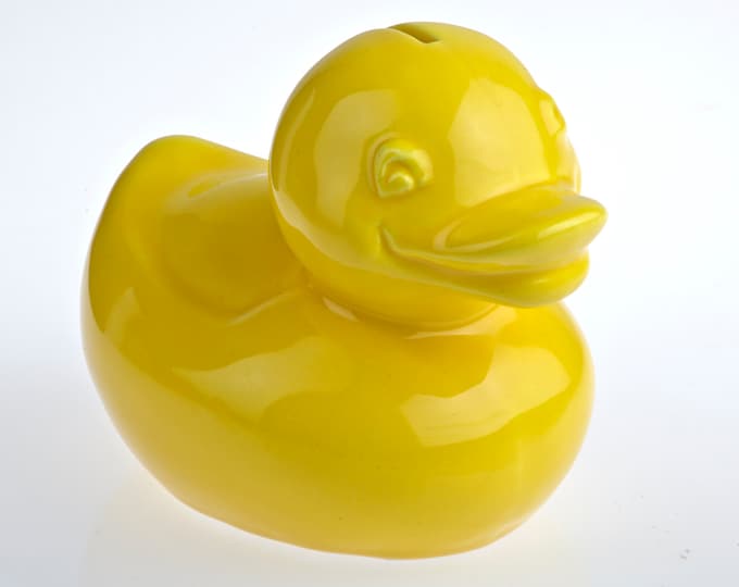 Duck Duckling Money Box Savings Bank Money Box Ceramic Handpainted Ceramics for Young and Young at Heart