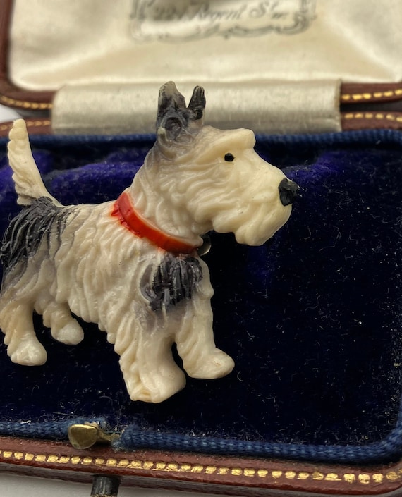 Vintage 1950s celluloid Scottie dog Scottish Terr… - image 2