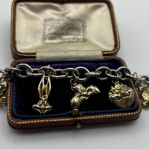 Pulseira vintage com pingentes dos Looney Tunes: Pernalonga, Patolino, Diabo da Tasmânia, Frajola, o Gato, Piu-Piu, Pepe Le Pew.