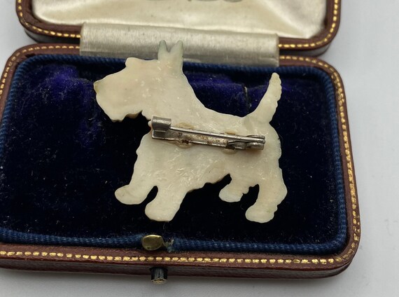 Vintage 1950s celluloid Scottie dog Scottish Terr… - image 3