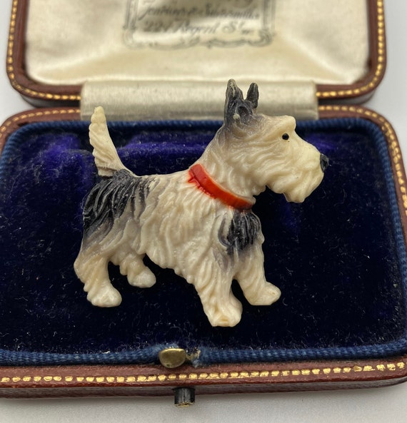 Vintage 1950s celluloid Scottie dog Scottish Terr… - image 1