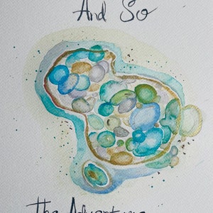 Puede incluir: Pintura a la acuarela de un grupo de formas redondeadas y coloridas en tonos azules, verdes y marrones, que se asemejan a guijarros. El texto "And So" y "The Adventure Begins" está escrito a mano con tinta negra.