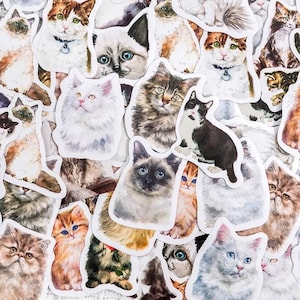 Retro Cat Sticker Set | 46 pcs Cat Sticker Flakes Set | Cat Lover Stickers | Vintage Cat Stickers