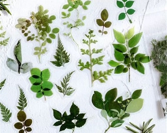 40 pcs Leaves and Ferns PET Plastic Sticker Set