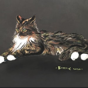 Könnte beinhalten: Eine braune, schwarze und weiße Katze mit grünen Augen liegt auf einem schwarzen Hintergrund. Die Katze hat weiße Pfoten und einen weißen Fleck auf der Brust. Die Katze schaut nach links im Bild. Die Unterschrift des Künstlers und das Jahr 2020 befinden sich in der rechten unteren Ecke des Bildes.