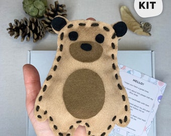 Felt Teddy Bear Sewing Kit For Kids