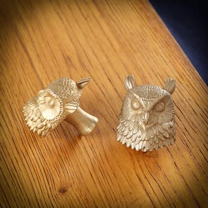 Könnte beinhalten: Zwei goldfarbene Schrankknöpfe in Eulenform. Der eine Knopf ist ein Seitenprofil eines Eulenkopfes und eines kleinen Teils eines Astes. Der andere Knopf ist eine Frontansicht eines Eulenkopfes mit detaillierten Federn und großen Augen. Die Knöpfe liegen auf einer Holzoberfläche.