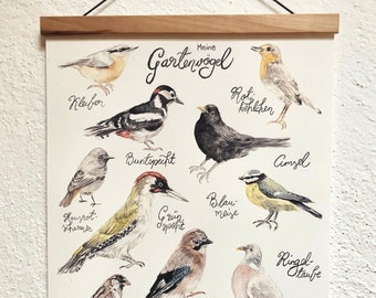 My garden birds poster I domestic birds watercolor I print