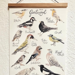 My garden birds poster I domestic birds watercolor I print