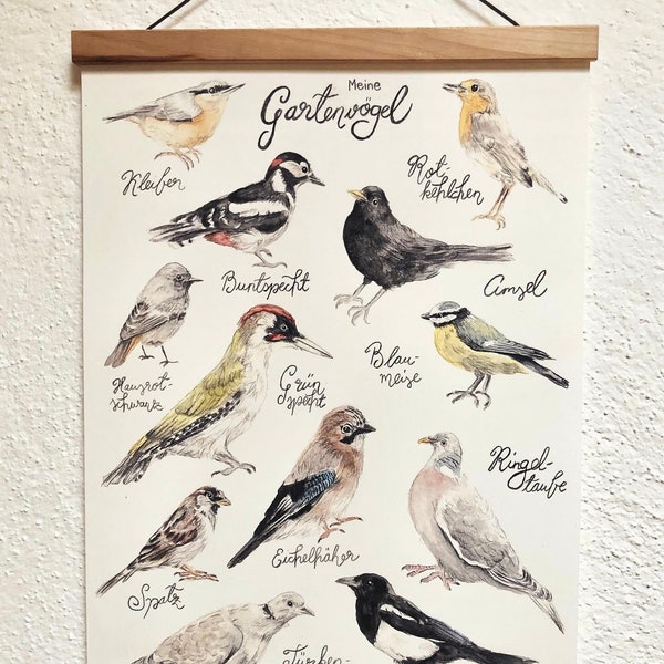 Meine Gartenvögel Poster I heimische Vögel Aquarell I Druck