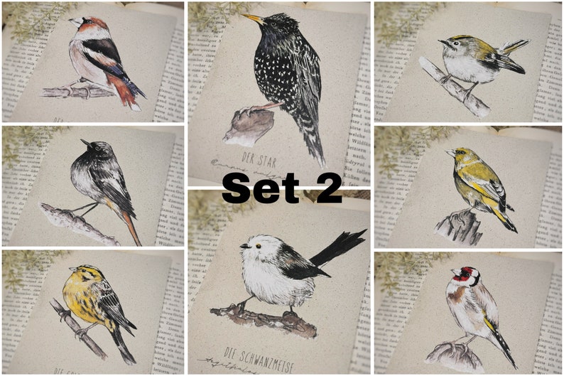 Bird Postcards Grass paper 4-16 pcs. vegan sustainable image 3