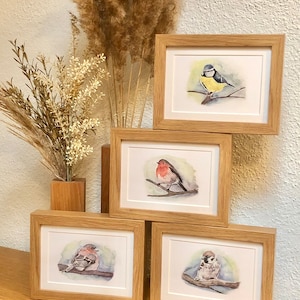 Aquarell Vögel Postkarten 4er Set