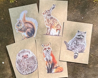 Wild animals postcards | Silphium paper | Fox rabbit squirrel raccoon hedgehog