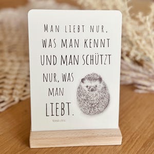 Igel Bleistiftzeichnung Postkarte | Naturschutz | Tierschutz
