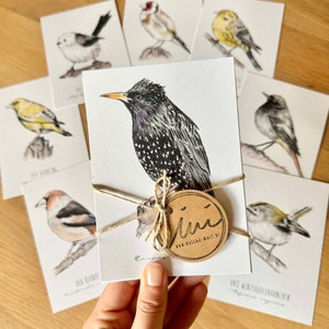 Heimische Gartenvögel Set 2 | 8 Vogelkunde Postkarten | Recyclingpapier