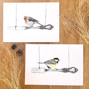 Postkarten 2er Set | Rotkehlchen & Kohlmeise Illustration | Naturmotiv | Vogel Postkarte | Vintage Tiermotiv | Gartenvögel