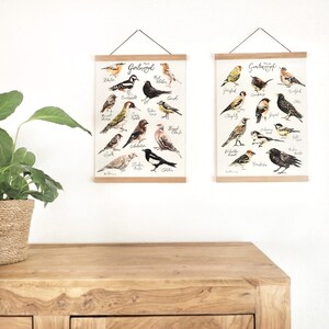 2er Set Gartenvögel Poster I Heimische Vögel | Vogelzeichnungen Aquarell | Vogelkunde für Naturfreunde | Lernposter mit Posterleisten