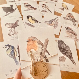 Native garden birds | 4-16 ornithology postcards