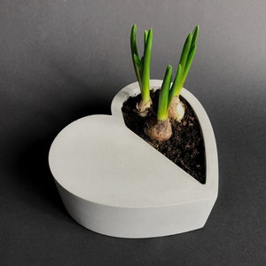 Heart, Concret Heart ,Concrete Succulent Pots, Small Planter, Table decor, Black pots, Home decor, Concrete Planter Pots, Valentines Day image 1