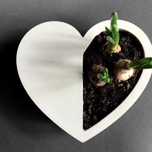 Heart, Concret Heart ,Concrete Succulent Pots, Small Planter, Table decor, Black pots, Home decor, Concrete Planter Pots, Valentines Day image 2