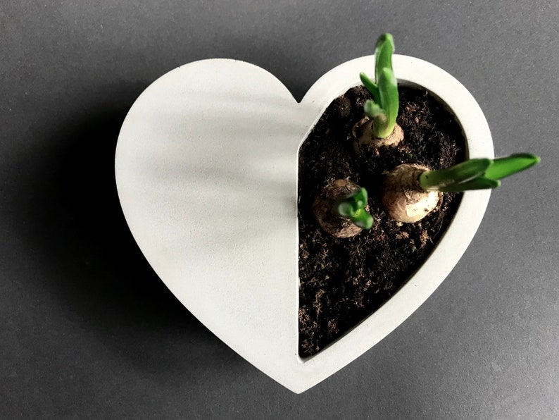 Heart, Concret Heart ,Concrete Succulent Pots, Small Planter, Table decor, Black pots, Home decor, Concrete Planter Pots, Valentines Day image 2