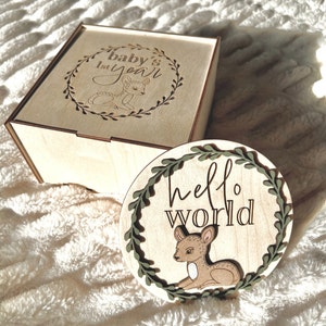 Lindos discos redondos de hitos mensuales con ciervo bebé del bosque con caja personalizada, archivo digital cortado con láser / Guardería con temática de bosque / Glowforge