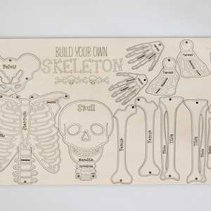 Build Your Own Skeleton Laser Cut Digital File | Cute Halloween DIY Skeleton | Skeletal Bone Learning Activity | Fall Craft | Glowforge