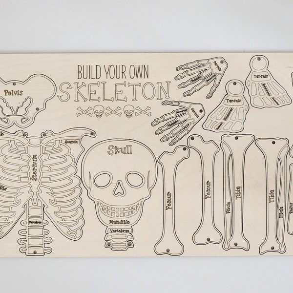 Build Your Own Skeleton Laser Cut Digital File | Cute Halloween DIY Skeleton | Skeletal Bone Learning Activity | Fall Craft | Glowforge