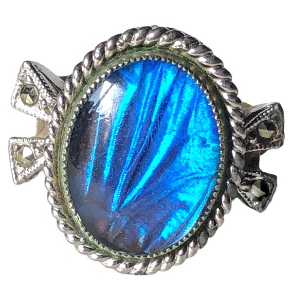 Blue Morpho Butterfly Wing & Marcasite Silver Tone Adjustable Ring, Rings for Women
