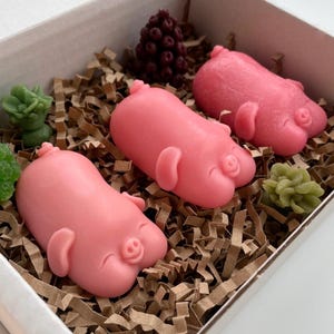 3x Piglet Soap Gift Box | Handmade Soaps