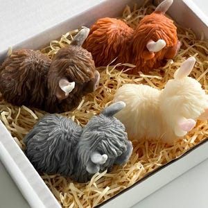 4 x Highland Cow Gift Box | Hand made soaps | Farm Gifts