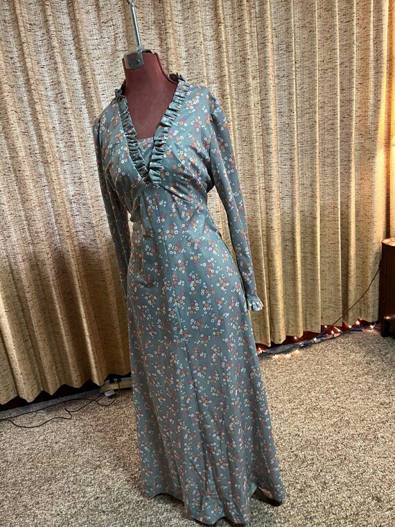 Gorgeous long sleeve 70s maxi dress