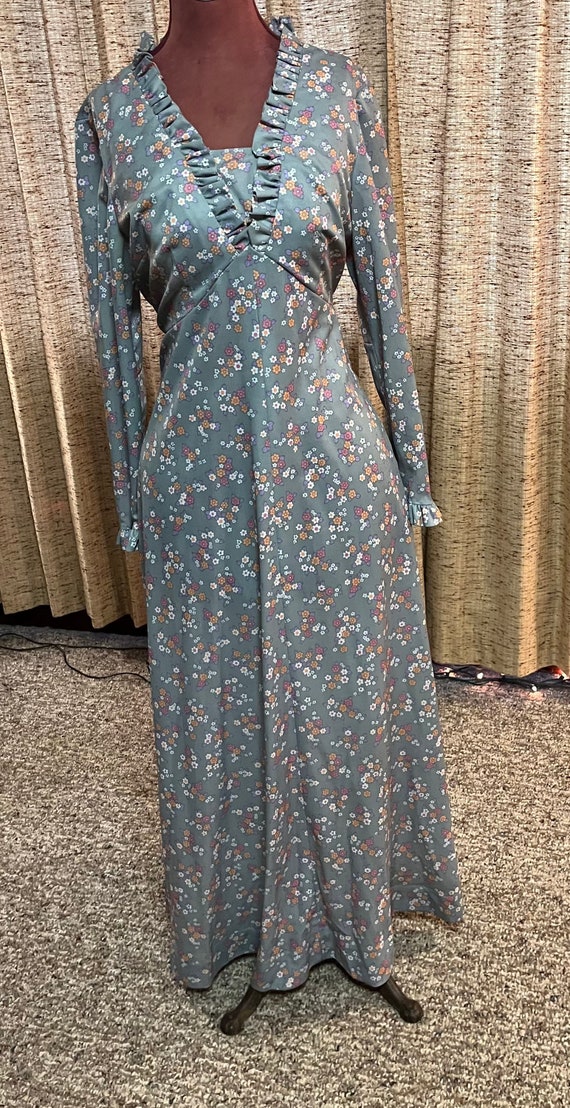 Gorgeous long sleeve 70s maxi dress - image 7