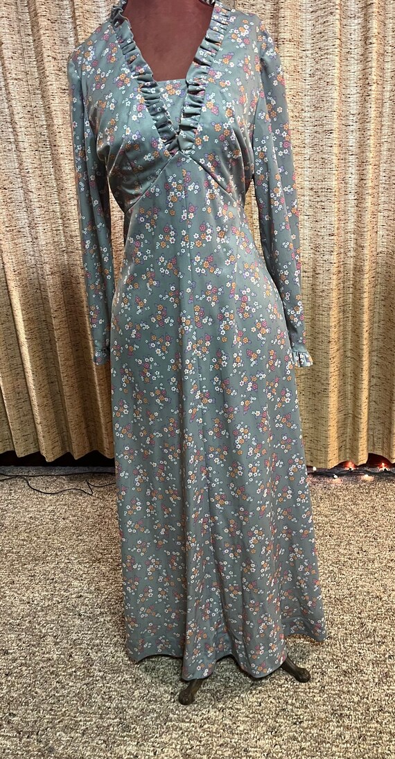 Gorgeous long sleeve 70s maxi dress - image 6