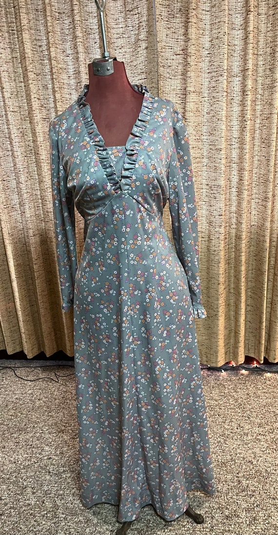 Gorgeous long sleeve 70s maxi dress - image 9