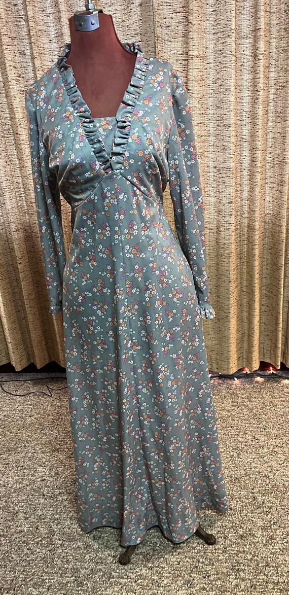 Gorgeous long sleeve 70s maxi dress - image 3