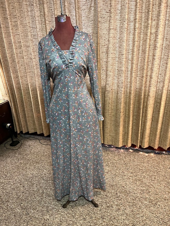 Gorgeous long sleeve 70s maxi dress - image 10