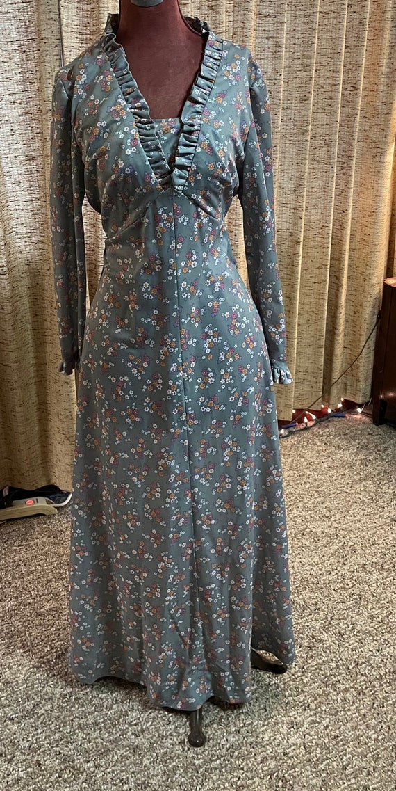 Gorgeous long sleeve 70s maxi dress - image 2