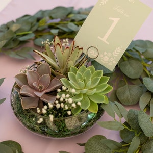 Succulent Wedding Centerpiece/Live Plants/Elegant Table/ Party/Bridal shower/Beautiful Variety/Table Decor/Round Glass /Moss/Low Maintenance