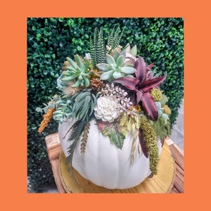 LIVE Succulent Pumpkin Creation / Fall / Harvest / Office Desk Arrangement / Planter / Live Plants / Easy / Low Maintenance / Home Decor