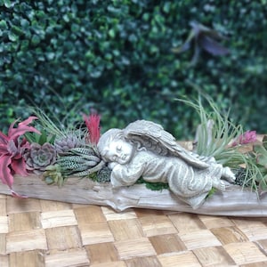 In Remembrance Arrangement Beautiful Driftwood w/Live Succulent Mixture & Angel Statue/ Easy Low Maintenance/ Indoor Plants / Funeral Gift