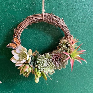 Wreath With Real Succulents / Live Plants / Door Wreath / Butterfly / Home Decor / Fresh / Hanging Decor / Easy Low Maintenance