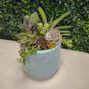 Beautiful Blue Spotted Planter With or Without Live Succulent Kit/ Ceramic/ Pen Holder/ Succulent Planter/ Light Blue/ White/ Gift / DIY