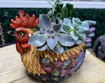 Rooster Succulent kit w/Planter/ custom arrangement/ animal /easy plant/ plant container/live plants / office Father&#39;s Day gift / DIY Fun