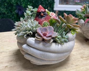 Maceta Giving Hands con cardenal / Cemento / Jardín / Maceta para suculentas de primavera y verano / Arreglo de fácil mantenimiento / Plantas vivas