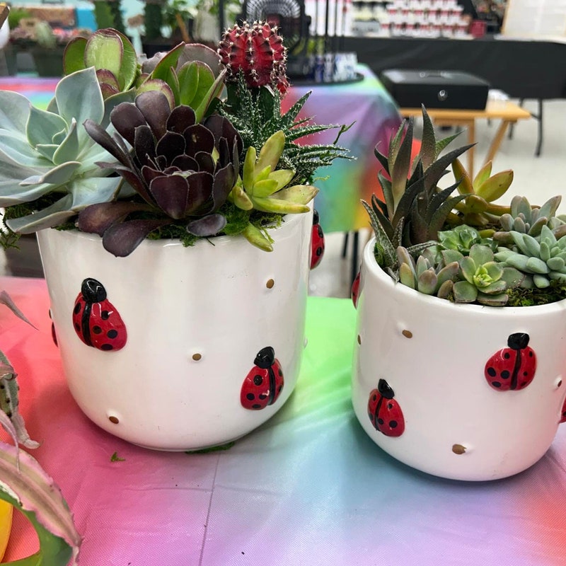 Ladybug Planter - Etsy
