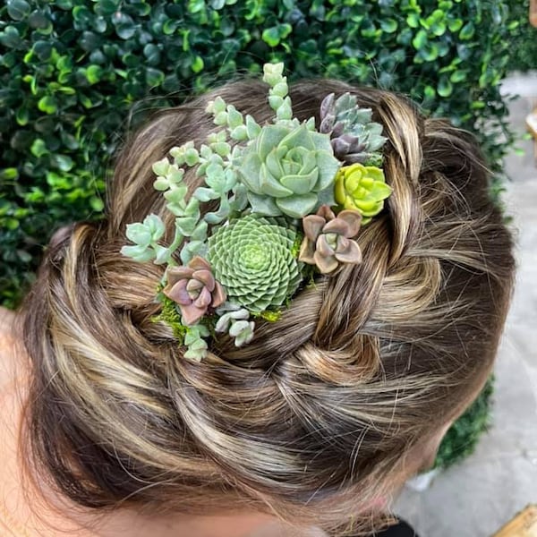 Succulent Wedding Hair Comb Piece \ bridal shower \ baby shower \ live plants \ special events \ hair clip \ accessory \ prom \ updo