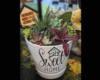 Home Sweet Home Planter Kit / Realtor Closing Gift / Live Succulent Garden Planter / Live Plants / DIY Project / Housewarming/ Easy