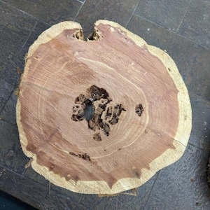 May include: A close-up of a wooden slice with a natural edge and a large knot hole in the center. The wood has a reddish-brown color and a light brown ring around the knot hole.