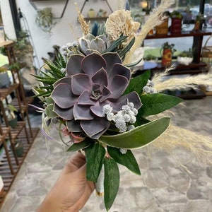 Ramos de boda suculentos/Varios tamaños disponibles/Plantas vivas/Novia elegante/Quinceañera/Hermosa variedad/Embrague/Ramo en cascada/Personalizado imagen 5